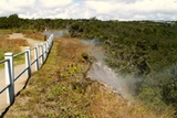 Hawaii Volcano Sulphur Bank Trail